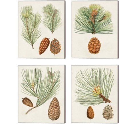 Antique Pine Cones 4 Piece Canvas Print Set