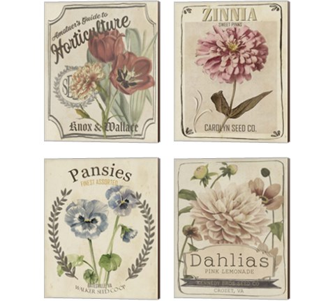 Vintage Seed Packets 4 Piece Canvas Print Set by Studio W