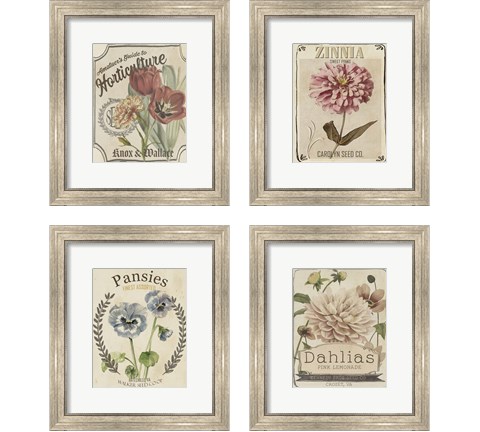 Vintage Seed Packets 4 Piece Framed Art Print Set by Studio W
