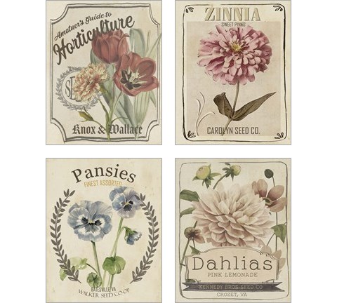 Vintage Seed Packets 4 Piece Art Print Set by Studio W