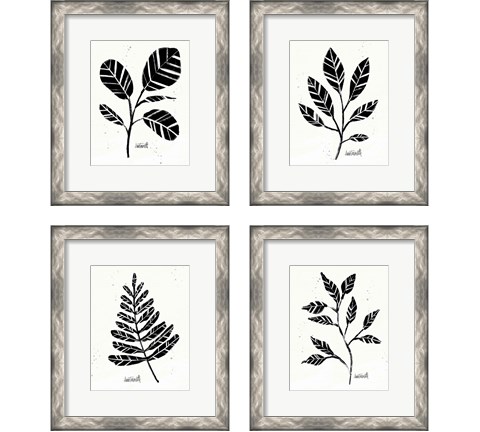Botanical Sketches 4 Piece Framed Art Print Set by Anne Tavoletti