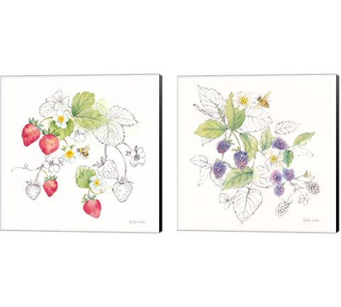 Berries and Bees 2 Piece Canvas Print Set by Cynthia Coulter