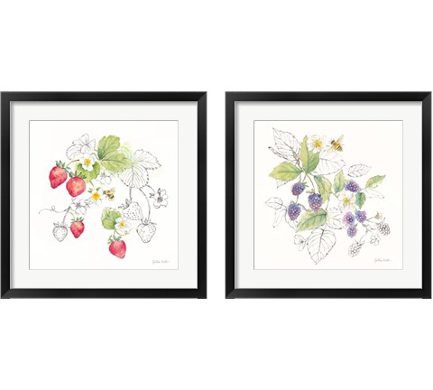 Berries and Bees 2 Piece Framed Art Print Set by Cynthia Coulter