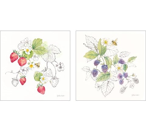 Berries and Bees 2 Piece Art Print Set by Cynthia Coulter