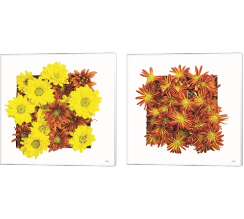 Floral Pop 2 Piece Canvas Print Set by Donnie Quillen