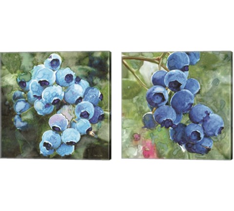 Blueberries  2 Piece Canvas Print Set by Stellar Design Studio