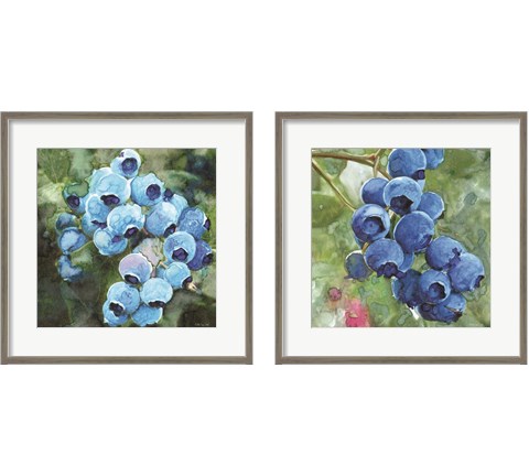 Blueberries  2 Piece Framed Art Print Set by Stellar Design Studio