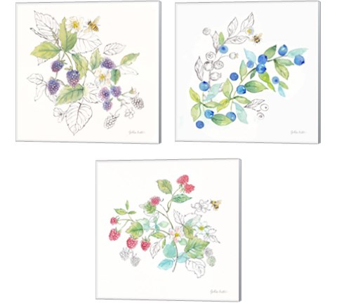 Berries and Bees 3 Piece Canvas Print Set by Cynthia Coulter