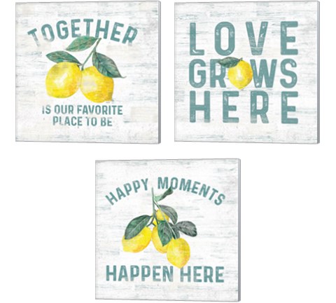 Happy Thoughts 3 Piece Canvas Print Set by Tara Reed