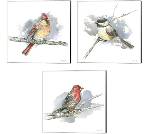 Birds & Branches 3 Piece Canvas Print Set by Kelsey Wilson