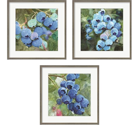 Blueberries  3 Piece Framed Art Print Set by Stellar Design Studio