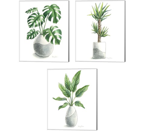 Potted Exotics 3 Piece Canvas Print Set by Kelsey Wilson