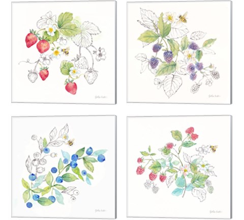 Berries and Bees 4 Piece Canvas Print Set by Cynthia Coulter