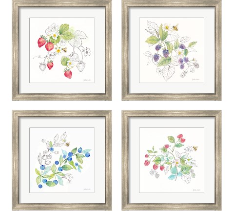 Berries and Bees 4 Piece Framed Art Print Set by Cynthia Coulter