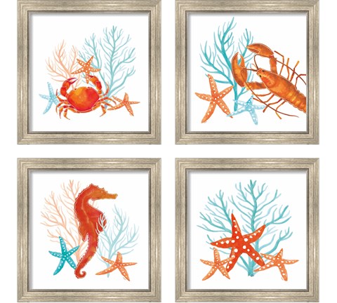 Coral Aqua 4 Piece Framed Art Print Set by Tara Reed