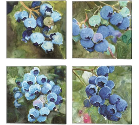 Blueberries  4 Piece Canvas Print Set by Stellar Design Studio
