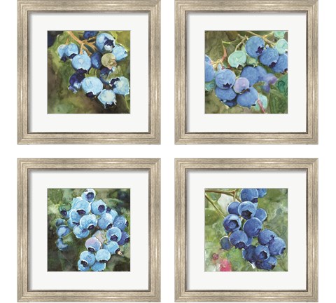 Blueberries  4 Piece Framed Art Print Set by Stellar Design Studio