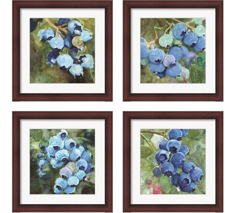 Blueberries  4 Piece Framed Art Print Set by Stellar Design Studio