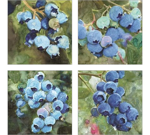 Blueberries  4 Piece Art Print Set by Stellar Design Studio
