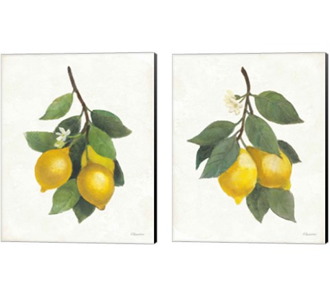 Lemon Branch 2 Piece Canvas Print Set by Albena Hristova