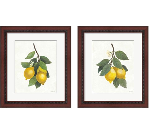 Lemon Branch 2 Piece Framed Art Print Set by Albena Hristova