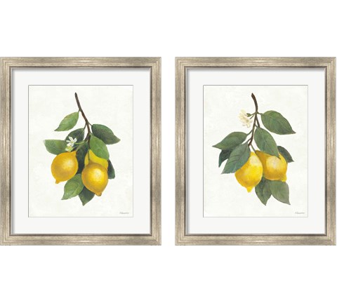 Lemon Branch 2 Piece Framed Art Print Set by Albena Hristova