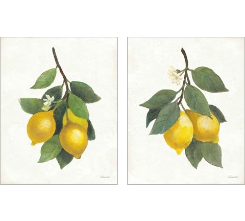 Lemon Branch 2 Piece Art Print Set by Albena Hristova