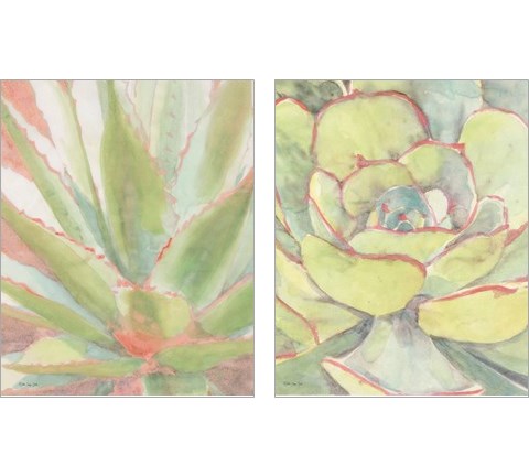 Succulent Bloom 2 Piece Art Print Set by Stellar Design Studio