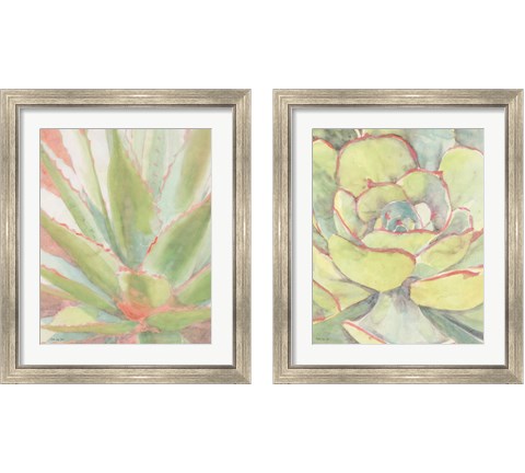 Succulent Bloom 2 Piece Framed Art Print Set by Stellar Design Studio