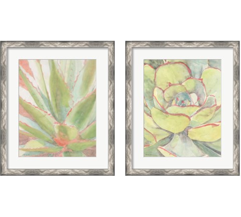Succulent Bloom 2 Piece Framed Art Print Set by Stellar Design Studio