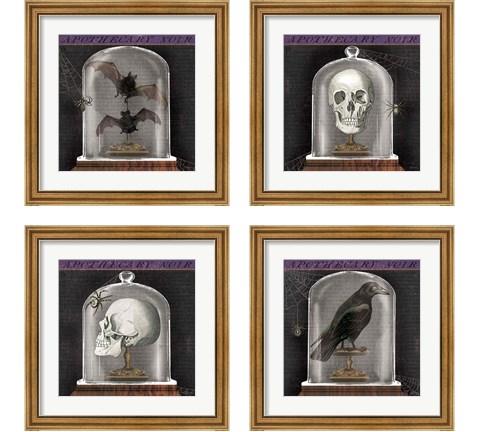 Apothecary Noir 4 Piece Framed Art Print Set by Sue Schlabach