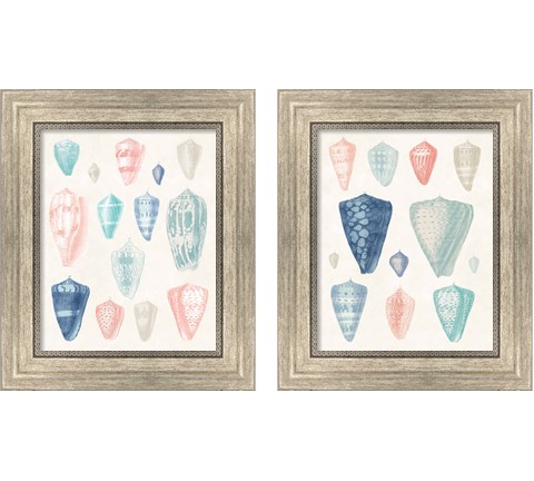 Colorful Shell Assortment Coral Cove 2 Piece Framed Art Print Set by Wild Apple Portfolio