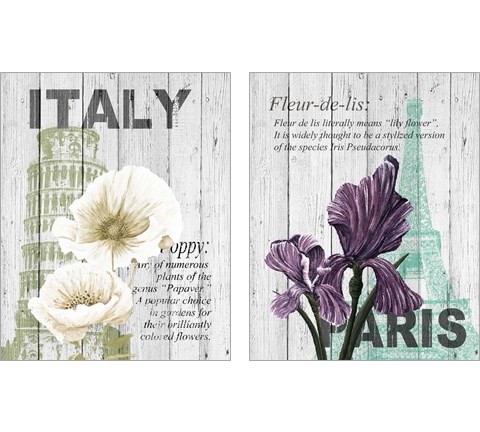City Floral 2 Piece Art Print Set by Alicia Soave