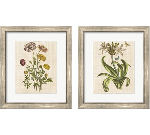 Herbal Botany 2 Piece Framed Art Print Set by Wild Apple Portfolio