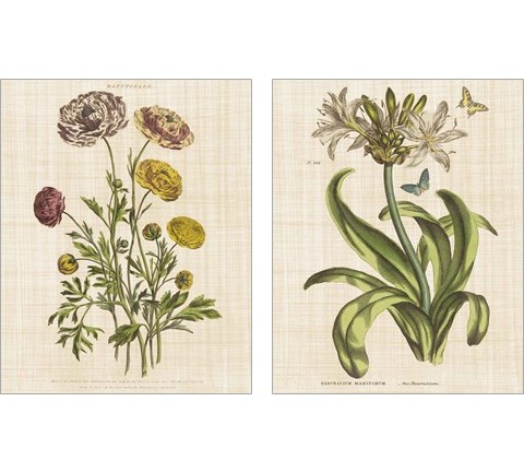 Herbal Botany 2 Piece Art Print Set by Wild Apple Portfolio