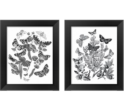 Butterfly Bouquet 2 Piece Framed Art Print Set by Wild Apple Portfolio