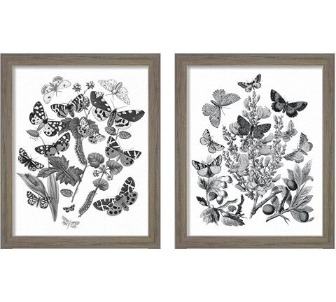 Butterfly Bouquet 2 Piece Framed Art Print Set by Wild Apple Portfolio