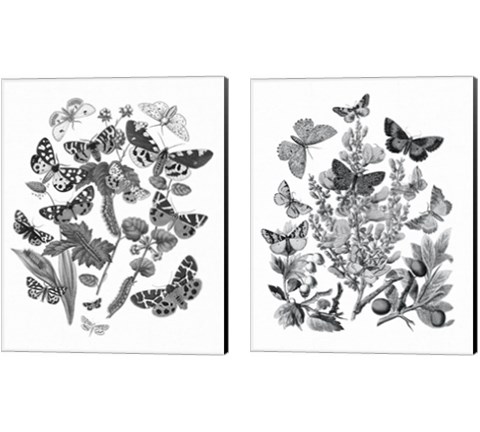 Butterfly Bouquet 2 Piece Canvas Print Set by Wild Apple Portfolio