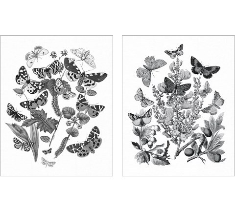 Butterfly Bouquet 2 Piece Art Print Set by Wild Apple Portfolio