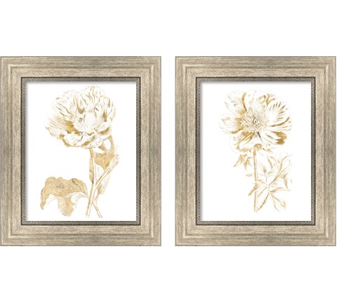 Gilded Botanical 2 Piece Framed Art Print Set by Wild Apple Portfolio