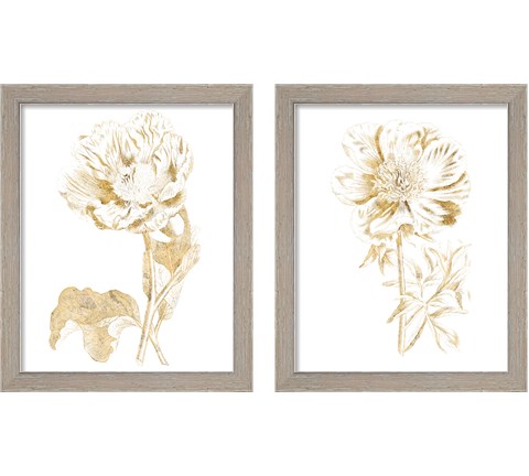 Gilded Botanical 2 Piece Framed Art Print Set by Wild Apple Portfolio