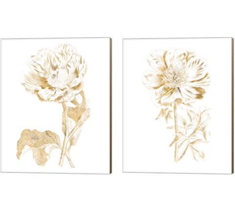 Gilded Botanical 2 Piece Canvas Print Set by Wild Apple Portfolio