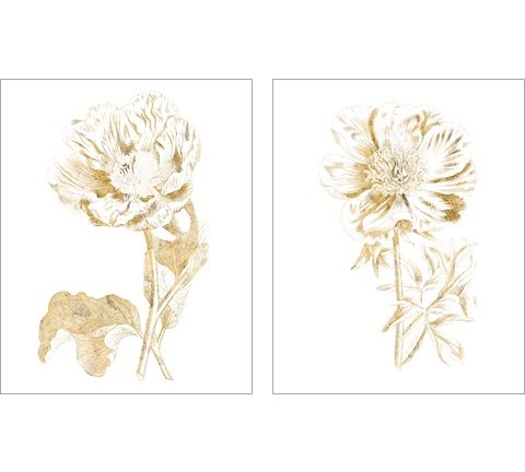 Gilded Botanical 2 Piece Art Print Set by Wild Apple Portfolio