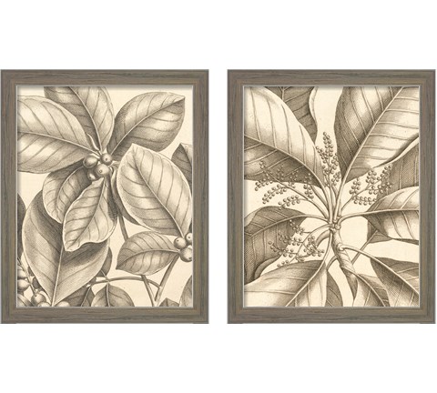 Tropical Connection 2 Piece Framed Art Print Set by Louis Van Houtte