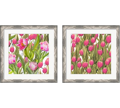 Tulip Symphony 2 Piece Framed Art Print Set by Diannart