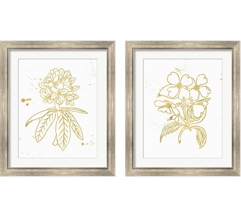Gold Blooms 2 Piece Framed Art Print Set by Wild Apple Portfolio