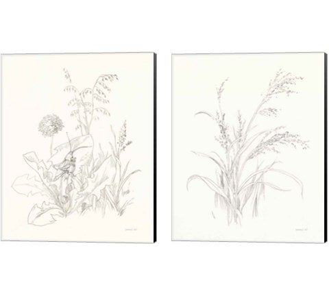 Nature Sketchbook 2 Piece Canvas Print Set by Danhui Nai