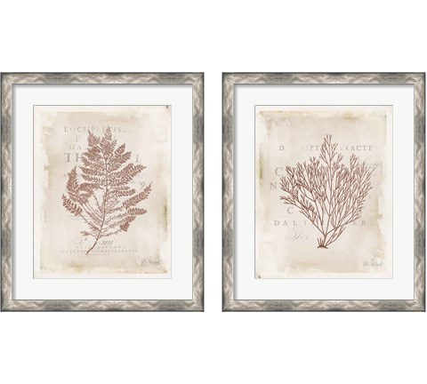 Sea Garden 2 Piece Framed Art Print Set by Katie Pertiet