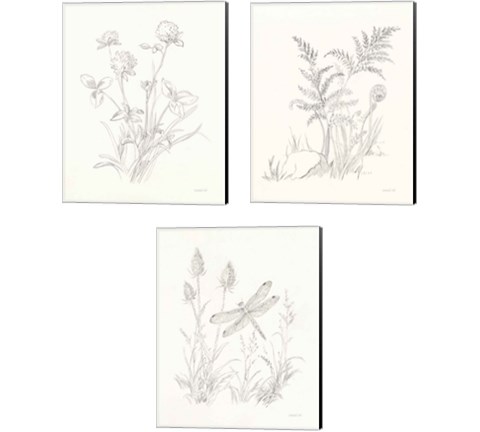 Nature Sketchbook 3 Piece Canvas Print Set by Danhui Nai