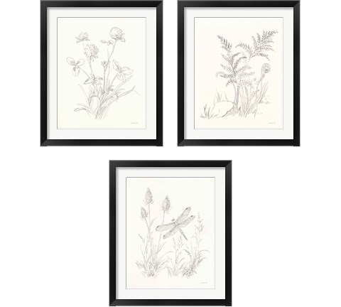 Nature Sketchbook 3 Piece Framed Art Print Set by Danhui Nai